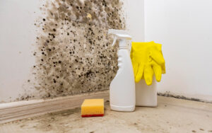 how to get rid of damp
